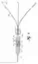 Fig. 07 - Endoscopic apparatus having a clip device