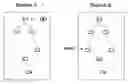 Fig. 01 - Resolving update-delete conflicts