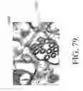 Fig. 63 - Methods and systems for data analysis and feature recognition including detection of avian influenza virus