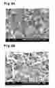 Fig. 04 - Thermally conductive body and method of manufacturing the same