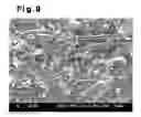 Fig. 07 - Thermally conductive body and method of manufacturing the same