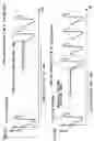 Fig. 07 - Liquid drop expelling head and image forming device provided therewith