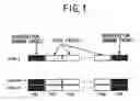 Fig. 02 - SINGLE CARRIER/DS-CDMA PACKET TRANSMISSION METHOD, AN UPLINK PACKET TRANSMISSION METHOD IN A MULTI-CARRIER/DS-CDMA MOBILE COMMUNICATIONS SYSTEM, AND A STRUCTURE OF A DOWNLINK CHANNEL IN A MULTI-CARRIER/DS-CDMA MOBILE COMMUNICATIONS SYSTEM