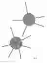 Fig. 09 - Detecting phospho-transfer activity