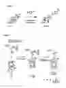 Fig. 02 - Combined Active and Passive Targeting of Biologically Active Agents