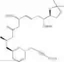 Fig. 303 - Laulimalide Analogs and Uses Thereof