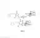 Fig. 03 - Compositions and Methods for the Reversible Capture of Biomolecules