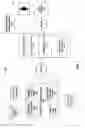 Fig. 02 - Score based decisioning