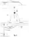 Fig. 04 - Replay debugging