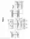 Fig. 06 - Inspection method for a recording head, inspection apparatus for a recording head, and recording apparatus