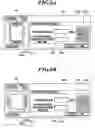 Fig. 07 - Image forming apparatus
