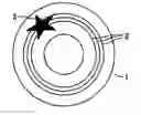 Fig. 01 - Record carrier with watermark