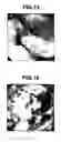 Fig. 09 - Image processing apparatus and image processing method