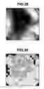 Fig. 30 - Image processing apparatus and image processing method