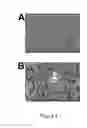 Fig. 02 - RNA virus vaccines and methods