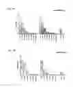 Fig. 04 - RNA virus vaccines and methods
