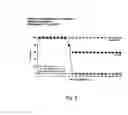 Fig. 09 - RNA virus vaccines and methods