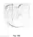 Fig. 21 - Machinery And Method For Manufacturing Shaped Pita Bread