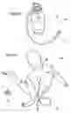 Fig. 16 - INTRAVENOUS (IV) TRAINING SYSTEM