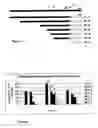 Fig. 06 - Novel Bacterial Expression System
