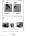 Fig. 11 - Disarmed strains, Ri-plasmids, and methods of transformation based thereon