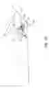 Fig. 09 - Bicycle front derailleur