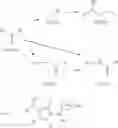 Fig. 17 - ADDITIONAL HETEROPOLYCYCLIC COMPOUNDS AND THEIR USE AS METABOTROPIC GLUTAMATE RECEPTOR ANTAGONISTS