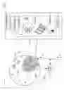 Fig. 02 - Responding to advertisement-adverse content or the like