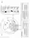 Fig. 06 - Responding to advertisement-adverse content or the like