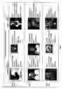 Fig. 02 - Streaming video programming guide system selecting video files from multiple websites and automatically generating selectable thumbnails