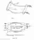 Fig. 02 - Easy Grip bag gripping device