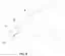 Fig. 09 - Device for concealing vehicle identification numbers