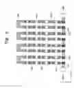 Fig. 09 - Monitoring pattern for detecting a defect in a semiconductor device and method for detecting a defect
