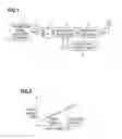Fig. 02 - Distortion compensating apparatus