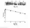 Fig. 10 - Antibacterial agents and methods of identifying and utilizing same
