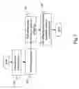 Fig. 02 - Method and vaccine for non-genetically engineered atavism growth enhancement