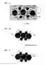 Fig. 02 - COMPOUND FOR FORMING WIRING CONDUCTOR, FABRICATION METHOD OF CIRCUIT BOARD USING THE SAME AND CIRCUIT BOARD