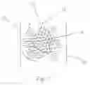 Fig. 02 - Catalyst structure