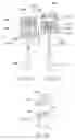 Fig. 25 - PERCUTANEOUS SPINAL IMPLANTS AND METHODS
