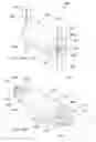 Fig. 49 - PERCUTANEOUS SPINAL IMPLANTS AND METHODS