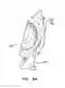 Fig. 08 - Modular orthopaedic implant apparatus