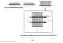 Fig. 01 - Cell Culture Method, Three-Dimensional Cell Culture Method, Three-Dimensional Tissue, Artificial Organ and Tissue Transplantation Method