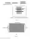 Fig. 03 - Cell Culture Method, Three-Dimensional Cell Culture Method, Three-Dimensional Tissue, Artificial Organ and Tissue Transplantation Method