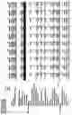 Fig. 79 - Duty and tax avoidance device and system