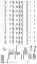 Fig. 80 - Duty and tax avoidance device and system