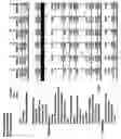 Fig. 82 - Duty and tax avoidance device and system