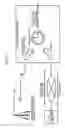 Fig. 02 - Time stamp apparatus, time correcting method, and time correcting program
