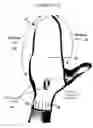 Fig. 01 - CLEANING MITT