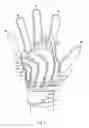 Fig. 02 - Glove