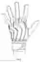 Fig. 05 - Glove